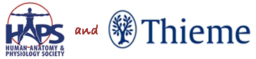 As part of a larger partnership that includes 30% off all Thieme products for HAPS members and students, the HAPS leadership is proud to announce a new award to recognize and reward excellence in undergraduate A&P instruction.